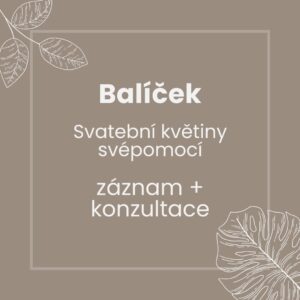 Balíček - svatební květiny svépomocí webinář + konzultace