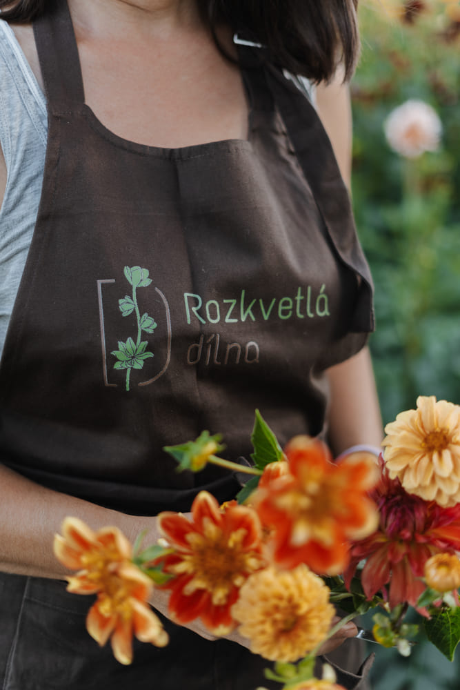 oranžové jiřiny v ruce - Rozkvetlá dílna, lokální květiny