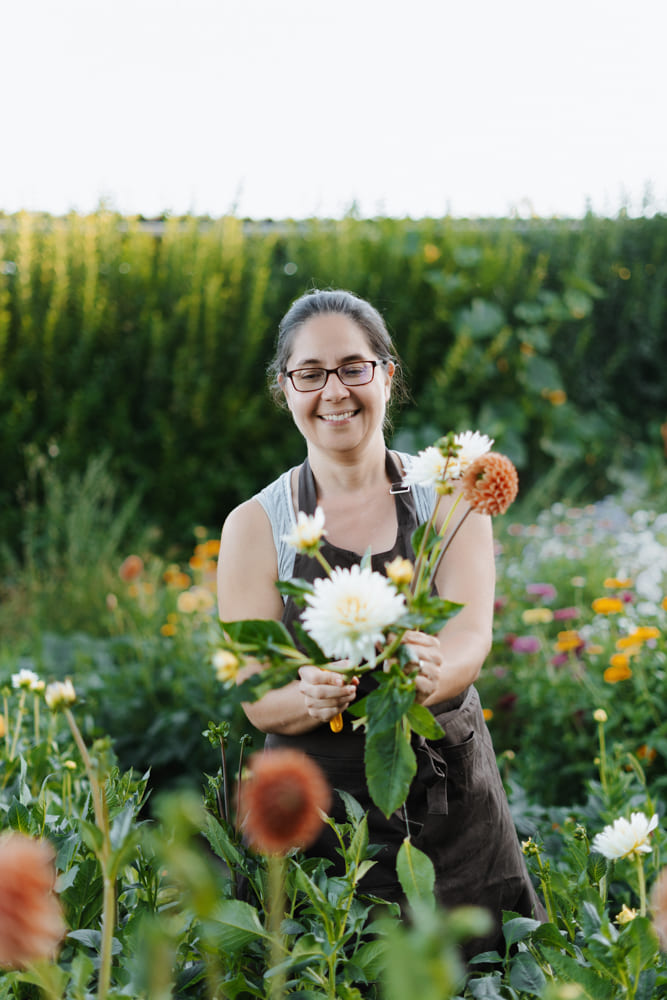 Jana Čechová floristka sběr jiřin na květinové zahradě